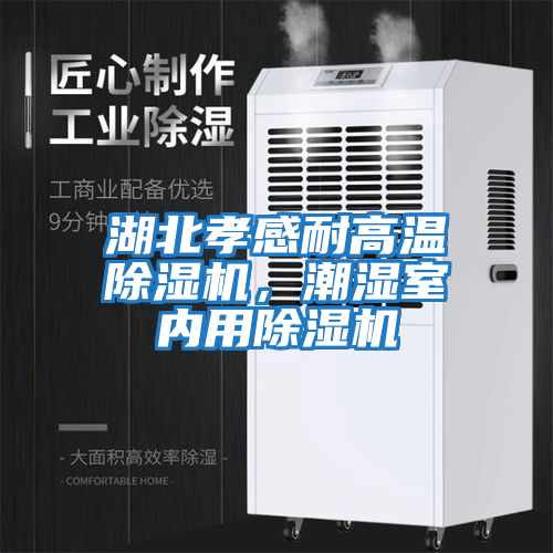湖北孝感耐高溫除濕機，潮濕室內用除濕機