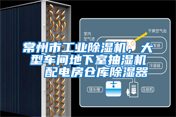 常州市工業(yè)除濕機(jī),大型車間地下室抽濕機(jī) 配電房倉庫除濕器