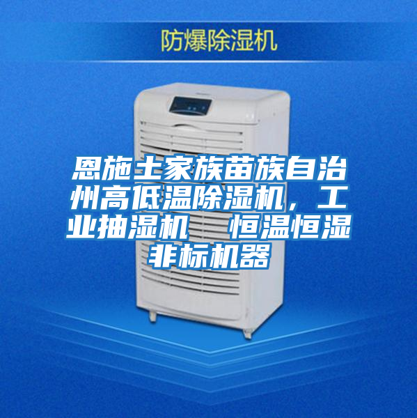 恩施土家族苗族自治州高低溫除濕機，工業(yè)抽濕機  恒溫恒濕非標機器