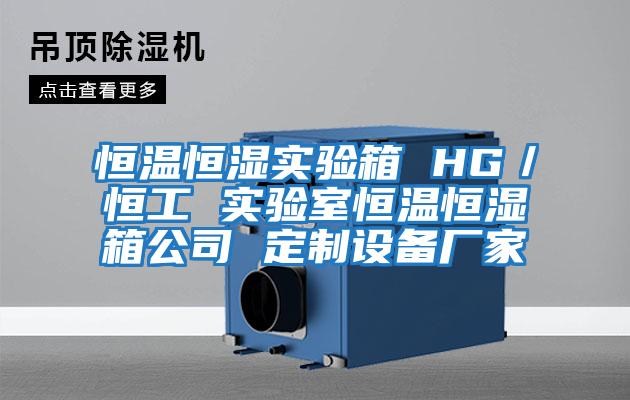 恒溫恒濕實驗箱 HG／恒工 實驗室恒溫恒濕箱公司 定制設備廠家