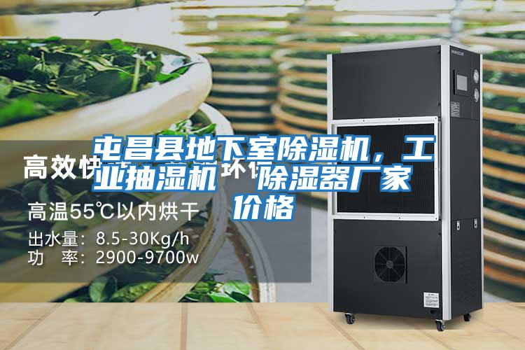 屯昌縣地下室除濕機，工業(yè)抽濕機  除濕器廠家 價格