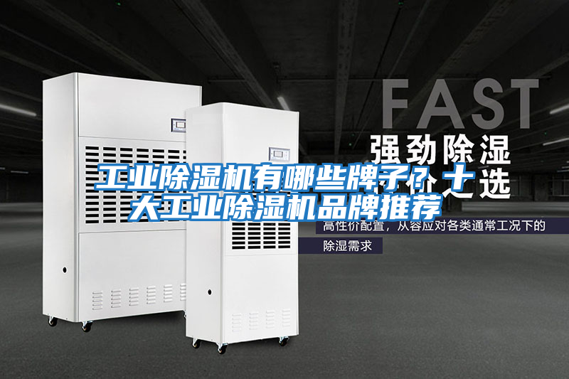 工業除濕機有哪些牌子？十大工業除濕機品牌推薦