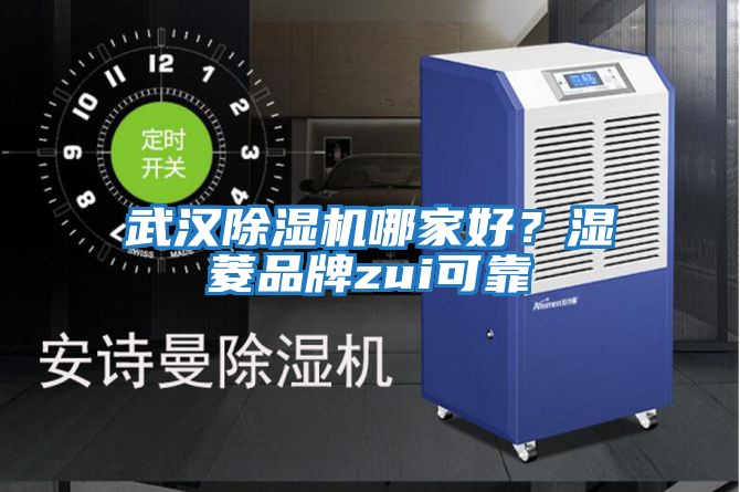 武漢除濕機(jī)哪家好?濕菱品牌zui可靠