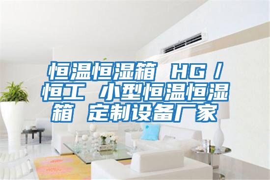 恒溫恒濕箱 HG/恒工 小型恒溫恒濕箱 定制設(shè)備廠家