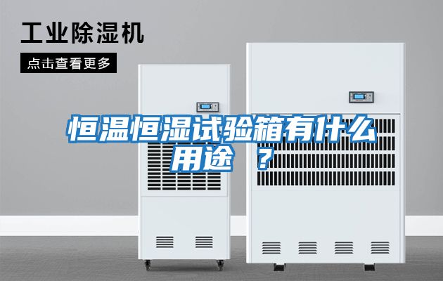 恒溫恒濕試驗(yàn)箱有什么用途 ？