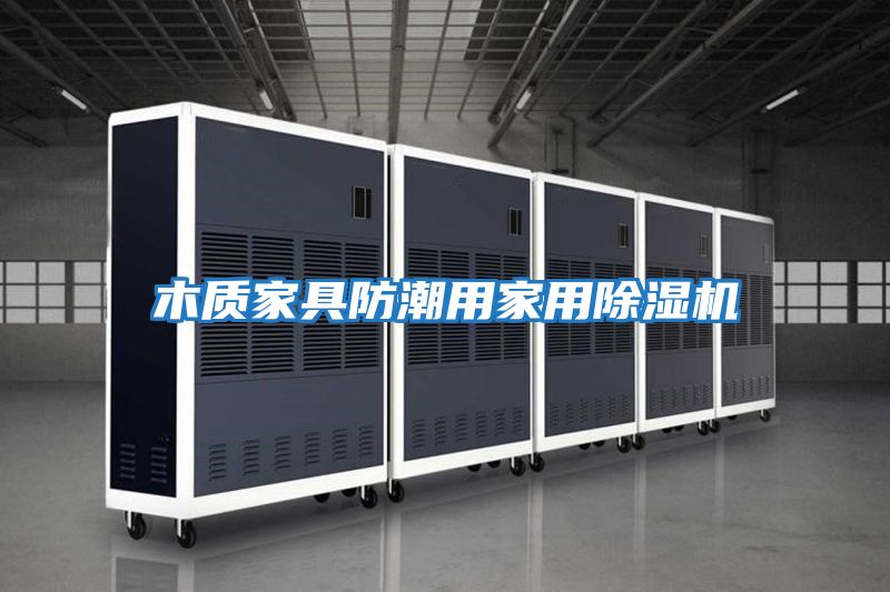 木質家具防潮用家用除濕機