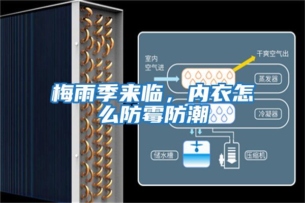 梅雨季來臨，內衣怎么防霉防潮