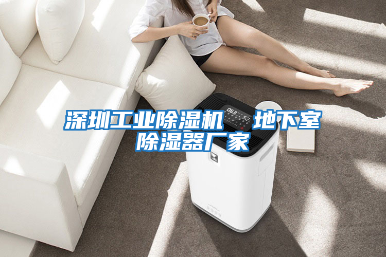 深圳工業除濕機  地下室除濕器廠家