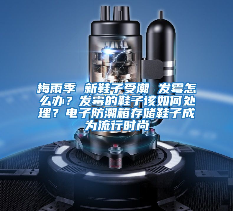 梅雨季 新鞋子受潮 發霉怎么辦？發霉的鞋子該如何處理？電子防潮箱存儲鞋子成為流行時尚