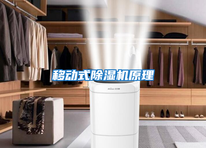 移動式除濕機(jī)原理
