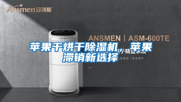 蘋果干烘干除濕機(jī)，蘋果滯銷新選擇