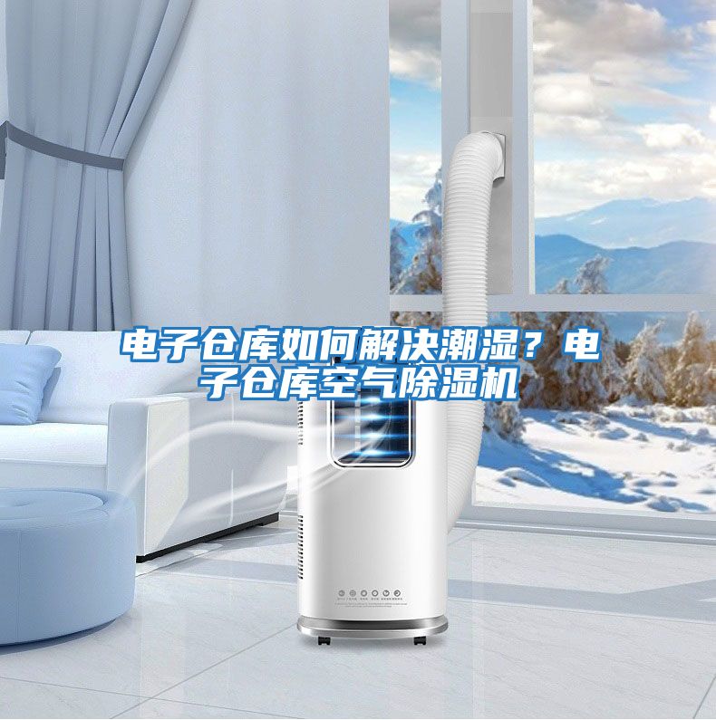 電子倉庫如何解決潮濕？電子倉庫空氣除濕機