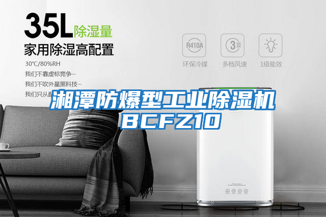 湘潭防爆型工業除濕機 BCFZ10