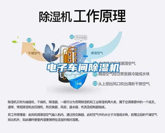 電子車(chē)間除濕機(jī)