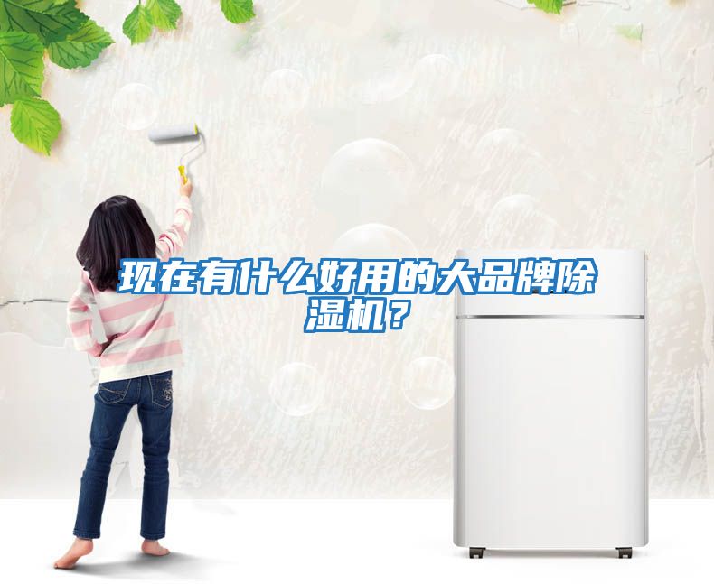 現(xiàn)在有什么好用的大品牌除濕機(jī)？