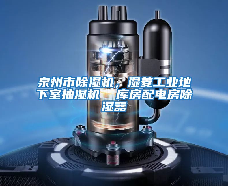 泉州市除濕機(jī)，濕菱工業(yè)地下室抽濕機(jī)  庫(kù)房配電房除濕器
