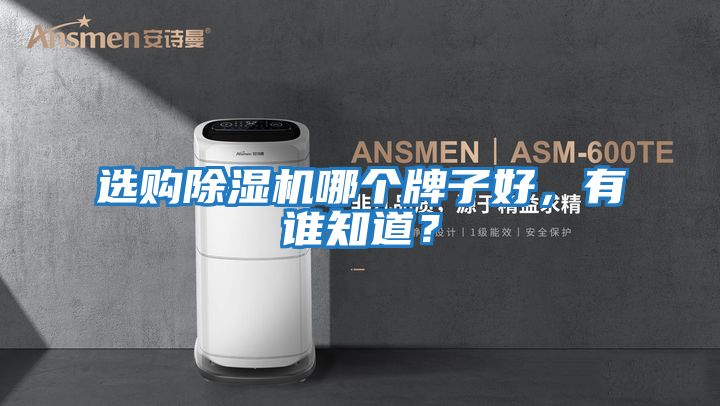 選購除濕機哪個牌子好，有誰知道？