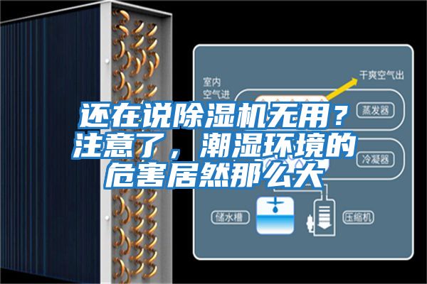 還在說除濕機無用？注意了，潮濕環(huán)境的危害居然那么大