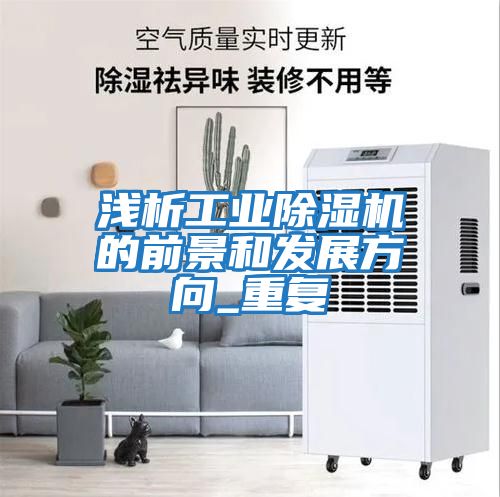 淺析工業除濕機的前景和發展方向_重復
