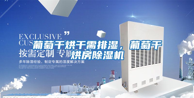 葡萄干烘干需排濕，葡萄干烘房除濕機