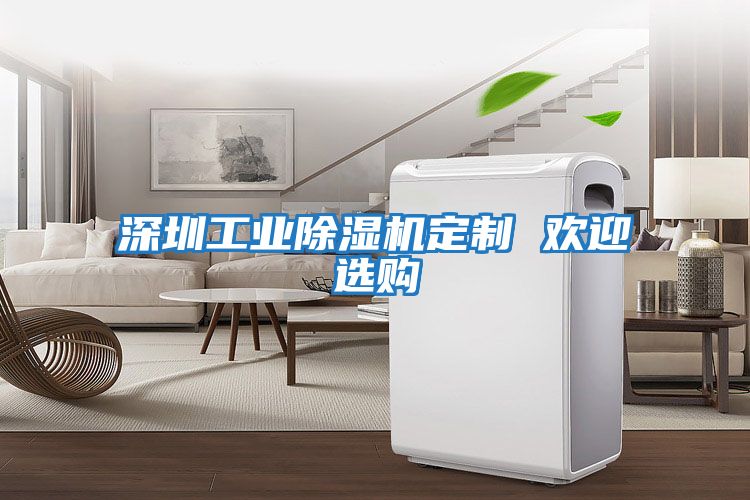深圳工業除濕機定制 歡迎選購