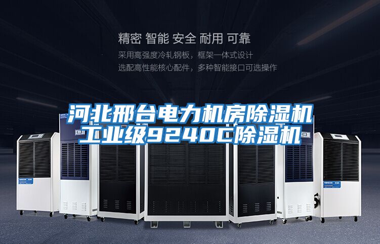 河北邢臺電力機房除濕機工業級9240C除濕機