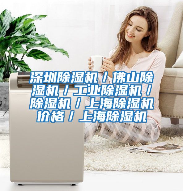 深圳除濕機/佛山除濕機/工業除濕機/除濕機/上海除濕機價格/上海除濕機