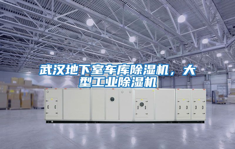 武漢地下室車庫除濕機,大型工業除濕機