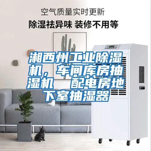 湘西州工業除濕機，車間庫房抽濕機  配電房地下室抽濕器