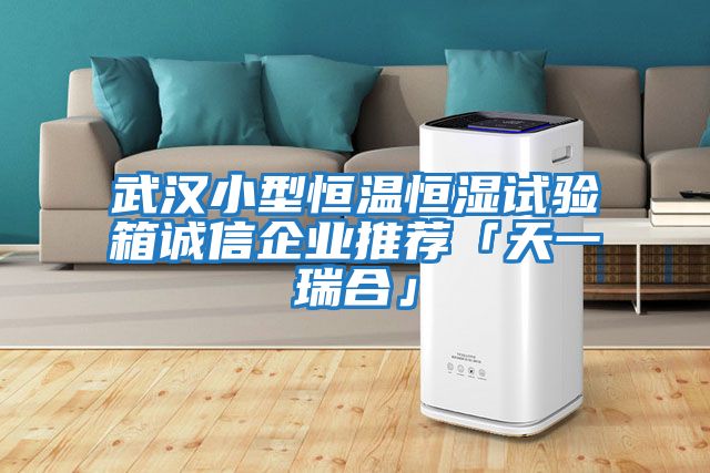 武漢小型恒溫恒濕試驗箱誠信企業推薦「天一瑞合」