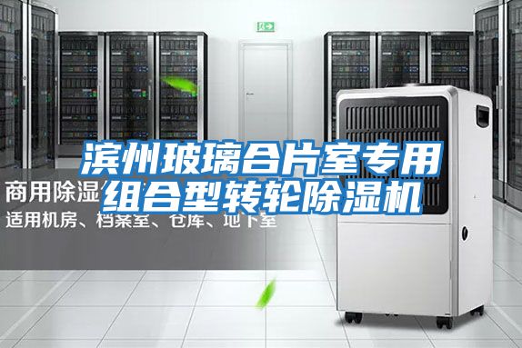 濱州玻璃合片室專用組合型轉輪除濕機