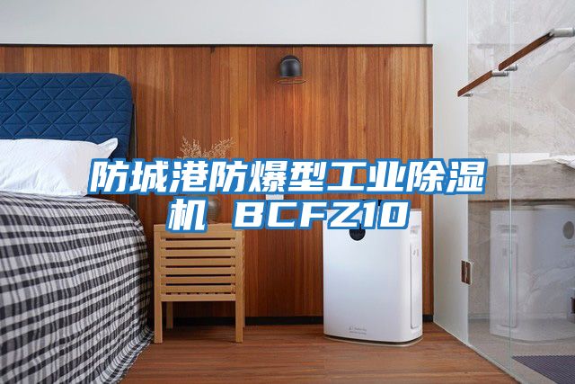 防城港防爆型工業除濕機 BCFZ10