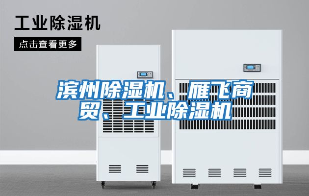 濱州除濕機、雁飛商貿、工業除濕機