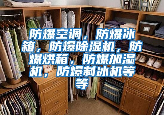 防爆空調(diào)，防爆冰箱，防爆除濕機，防爆烘箱，防爆加濕機，防爆制冰機等等