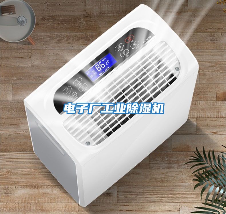 電子廠(chǎng)工業(yè)除濕機(jī)