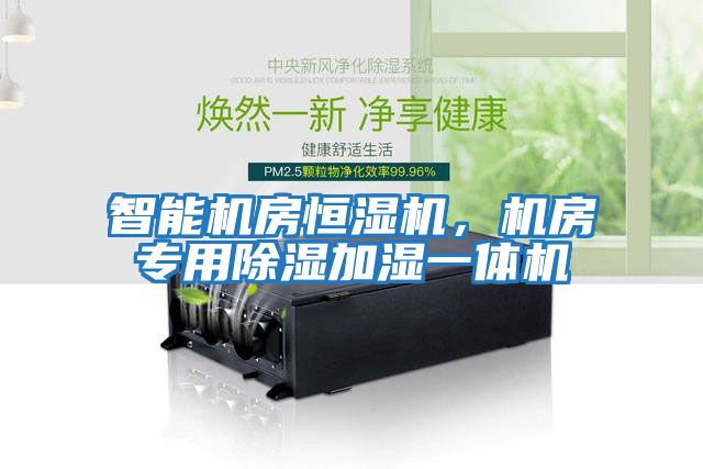 智能機房恒濕機，機房專用除濕加濕一體機