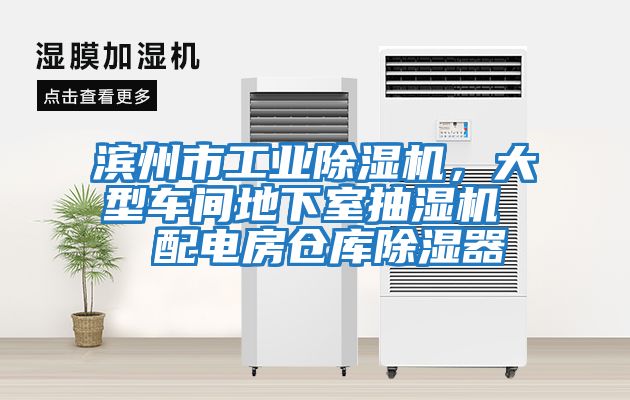濱州市工業除濕機，大型車間地下室抽濕機  配電房倉庫除濕器