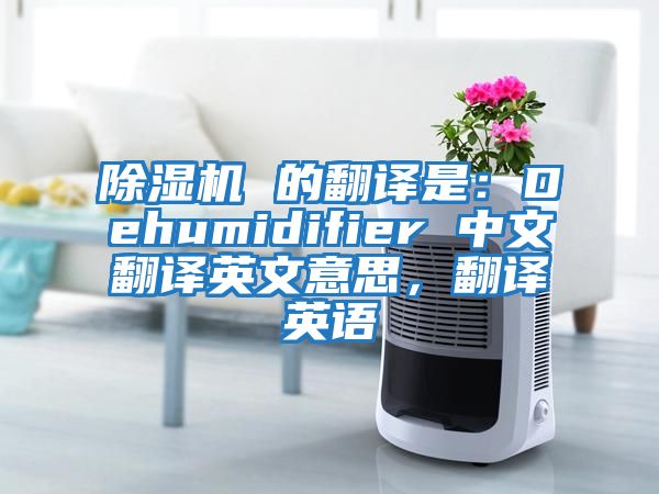 除濕機(jī) 的翻譯是：Dehumidifier 中文翻譯英文意思，翻譯英語
