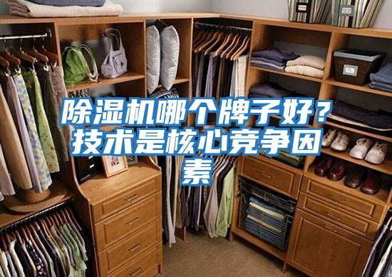 除濕機(jī)哪個(gè)牌子好？技術(shù)是核心競(jìng)爭(zhēng)因素