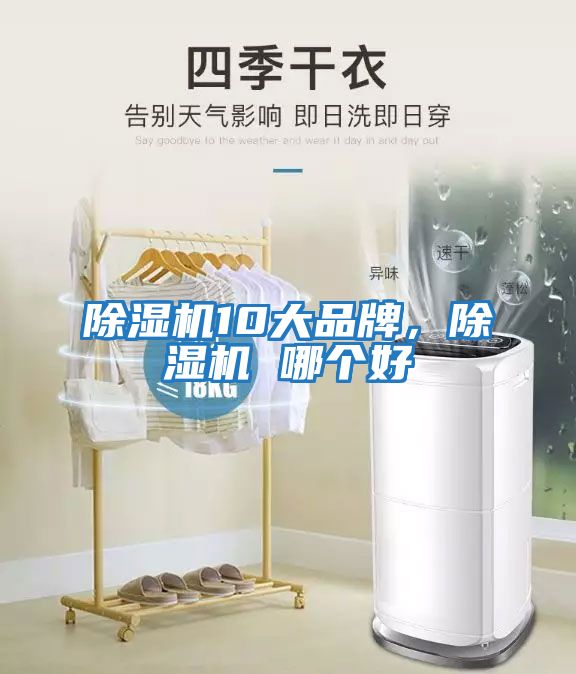 除濕機(jī)10大品牌,除濕機(jī) 哪個(gè)好