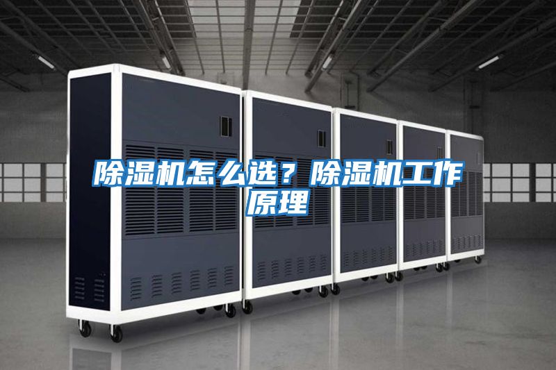 除濕機怎么選？除濕機工作原理