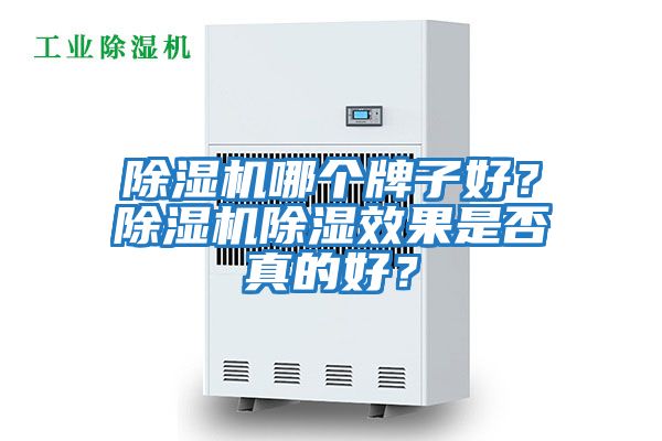 除濕機哪個牌子好？除濕機除濕效果是否真的好？