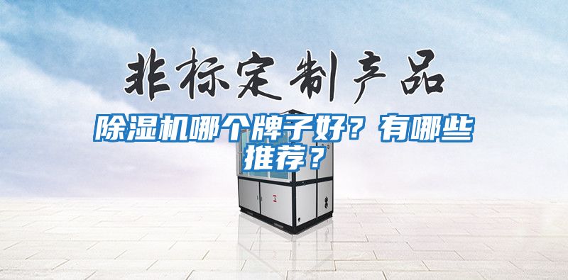 除濕機(jī)哪個牌子好？有哪些推薦？