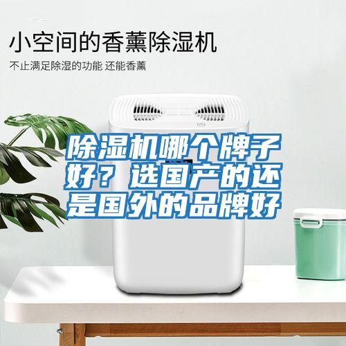 除濕機哪個牌子好?選國產的還是國外的品牌好