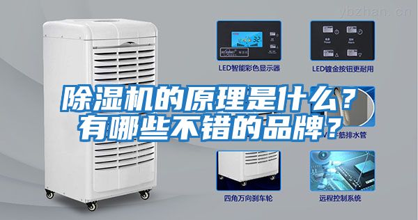 除濕機的原理是什么？有哪些不錯的品牌？