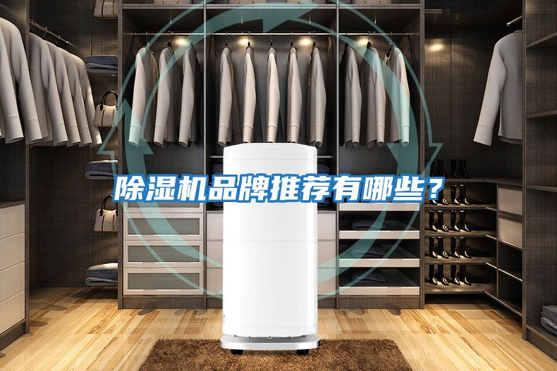 除濕機品牌推薦有哪些？