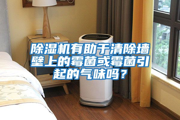 除濕機有助于清除墻壁上的霉菌或霉菌引起的氣味嗎？