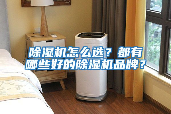 除濕機(jī)怎么選？都有哪些好的除濕機(jī)品牌？
