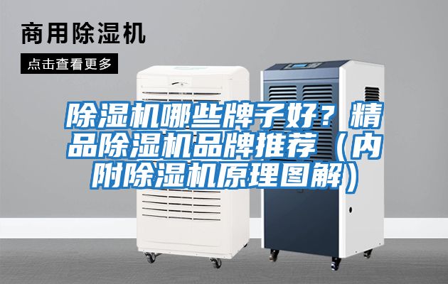 除濕機哪些牌子好?精品除濕機品牌推薦(內(nèi)附除濕機原理圖解)