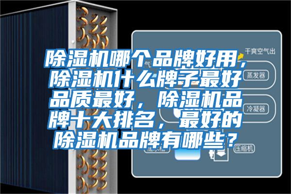 除濕機(jī)哪個(gè)品牌好用，除濕機(jī)什么牌子最好品質(zhì)最好，除濕機(jī)品牌十大排名，最好的除濕機(jī)品牌有哪些？